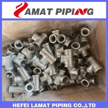 Galvanized Iron Back Nut