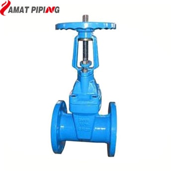 SABS 665 Resilient Seat Gate Valve(R.S.) PN10/PN16