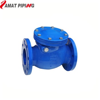 BS5153 Swing Check Valve PN10/PN16