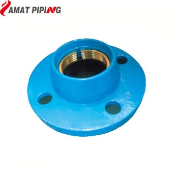 Flanged Adaptor